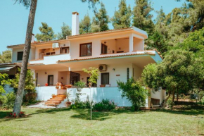 Forest house Near the sea